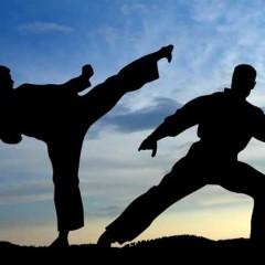 Why You Should Add Martial Arts Into Your Life