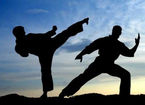 Why You Should Add Martial Arts Into Your Life